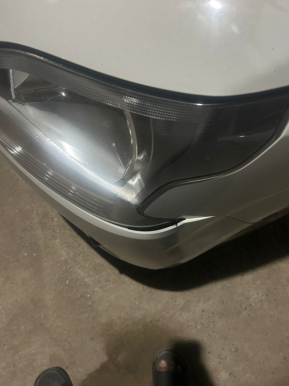 shy cholera//storage/postanadimgs/1764434917_qj59i2JZta.jpg